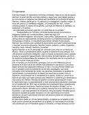 EL NIGROMANTE, IGNACIO RAMIREZ