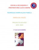 UN DÍA DE MI VIDA EN EL 2025.