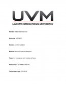 Importancia de la mentes del futuro