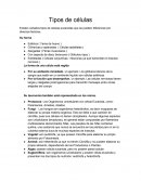 Existen variados tipos de células eucariotas que se pueden diferenciar por diversos factores.