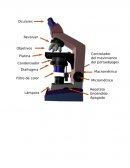 El descubrimiento del microscopio señala el comienzo de la biología moderna