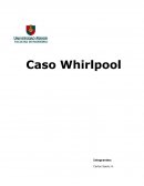 ¿La información de la inversión de un sistema ERP, es suficiente para Whirlpool?.