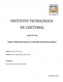 Ensayo: “Medio físico natural y construido de Barcelona, España.”
