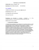 Proyecto Pedagogico Problematica Social Contemporanea.