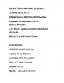 SISTEMAS DE INFORMACIÓN DE MERCADOTECNIA.