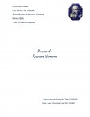 Tema: Desarrollo de RRHH