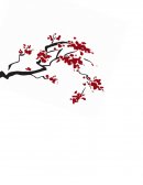 Tema: ALINE VERONICA PATIÑO BERMUDEZ