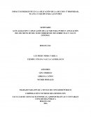 IMPACTO EMERGENTE EN LA APLICACIÓN DE LA SECCION 17 PROPIEDAD, PLANTA Y EQUIPO PARA LAS PYMES