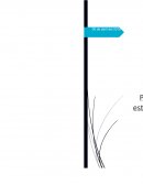 Planeacion estratégica de un producto.