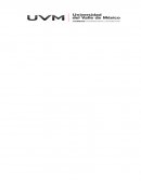 Ensayo The perks of being a wallflower