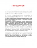 Caso yulmacap
