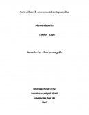 Teorías del desarrollo resumen comentado teoría psicoanalítica