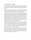 La metamorfosis - ensayo.