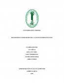 DIAGNOSTICO E INIQUIDADES DE LA SALUD MATERNO –INFANTIL 1990-2010