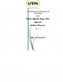 Auditoría Financiera - Tarea