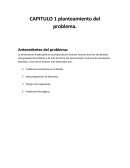 CAPITULO 1 planteamiento del problema.