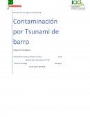 Trabajo de Investigación - Contaminación por Tsunami de barro.