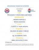 PROCESOS Y OPERCIONES UNITARIAS.