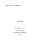 VIRGINIA HENDERSON: Modelo de Cuidado