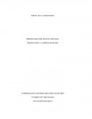 INICIO DE LA SOCIOLOGIA