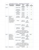 INDICADORES DE GESTION – CRONOGRAMA DE ACTIVIDADES