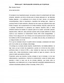 RECICLAJE Y REUTILIZACIÓN DE BOTELLAS PLÁSTICAS