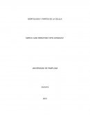 Morfologia y partes de la celula