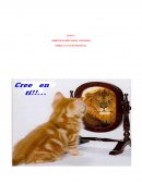 Ámbitos de reflexión y decisión