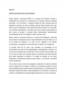 IDENTIFICACIÓN DE UNA OPORTUNIDAD