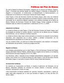 POLITICAS DE BIENES PUBLICOS