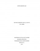 Matriz de programacion bandera de estados unidos