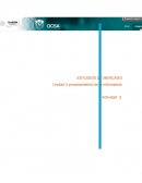 ESTUDIOS DE MERCADO Unidad 3 procesamiento de la información
