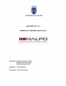 Caso MALPO LTDA.