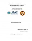 PRACTICA ÁREA PROFESIONAL