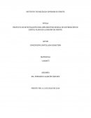 PROYECTO DE INVESTIGACIÓN PARA IMPLEMENTAR BODEGA DE DISTRIBUCIÓN DE CRISTAL PLANO EN LA REGIÓN DE PEROTE.