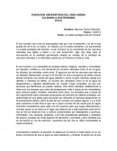 La huella ecológica del ser humano