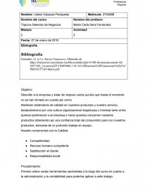 Topicos Selectos de Negocios.. Página 1