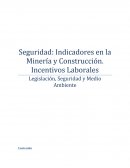 Seguridad: Indicadores en Minería y Construcción