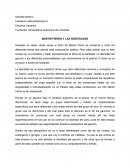 MARTÍN FIERRO Y LAS IDENTIDADES.