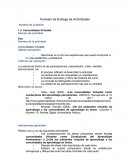 Formato de Entrega de Actividades