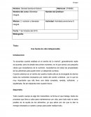 Bienestar integral - La vida.