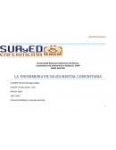 LA ENFERMERIA EN SALUD MENTAL COMUNITARIA