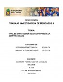 NIVEL DE SATISFACCION DE LOS USUARIOS DE LA COMPAÑÍA CLARO.