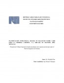 PLANIFICACION ESTRATEGICA BASADA EN BALANCED SCORE CARD