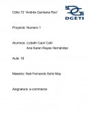 El comercio electrónico social