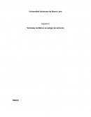 Animales de México en peligro de extinción