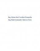 DESARROLLO MONOGRÁFICO TÉCNICO.