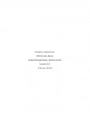 La Anatomofisiología humana.