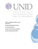 Estrategias de producto– precio.