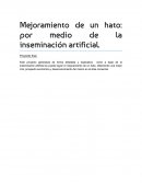 Mejoramiento de un hato: por medio de la inseminación artificial.